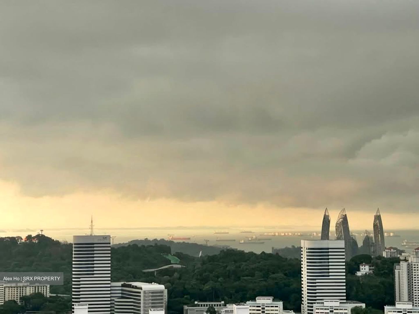Ascentia Sky (D3), Condominium #572062781